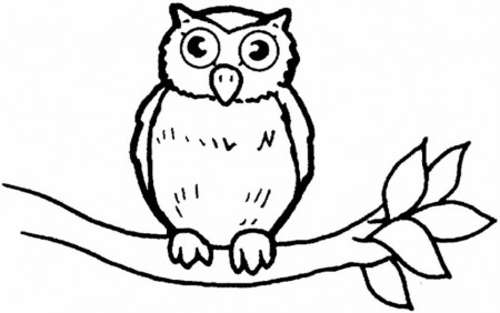 Owl Coloring Pages - Free Coloring Pages For KidsFree Coloring 