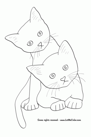 Realistic Cat Coloring Pages Realistic Warrior Cat Coloring 184056 