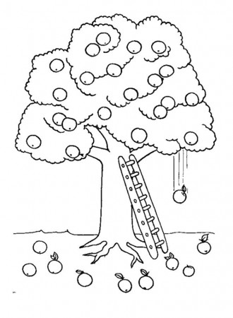 Apple Tree And Ladder Coloring Page