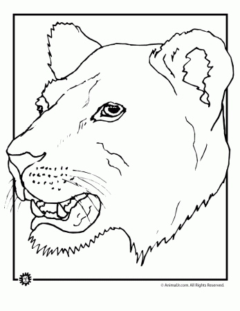 Animal Jr. | Lioness Coloring Page