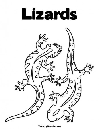 FLIYING LIZARD Colouring Pages