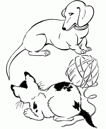 cat-and-dog-coloring-pages-675.jpg