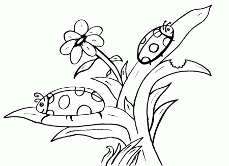 Free Ladybug Coloring Pages & Drawings | Coloring Pages For Kids 