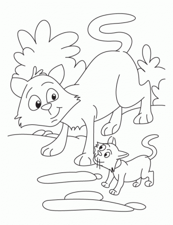 Cat and Kitten coloring page | Download Free Cat and Kitten 