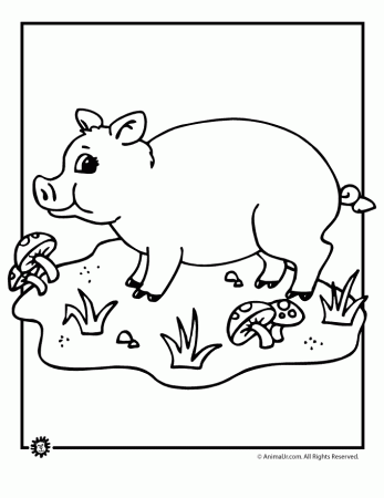 Pin Peppa Pig Printables Images Wallpapers Coloring Pages 