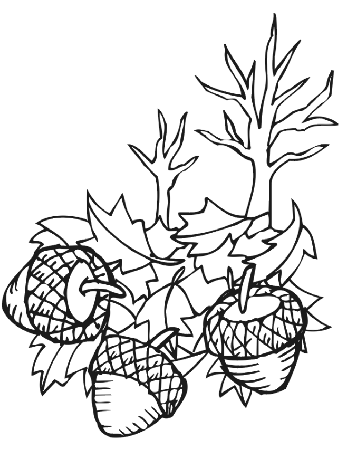 autumn leaves coloring page acorns fall