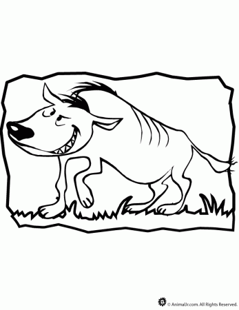 18 Hyena Coloring | Free Coloring Page Site