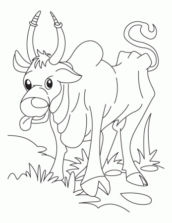 Ox searching for corn flakes coloring pages | Download Free Ox 
