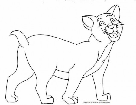 Printing Cat Coloring Pages Full Top Resolutions | ViolasGallery.