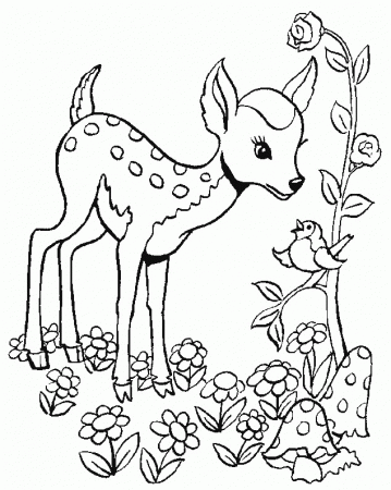 Animals Deer print coloring pages. 9