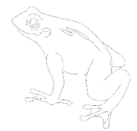 Frog Cuties Colouring Pages