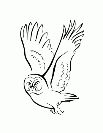 cute cute owl Colouring Pages (page 2)