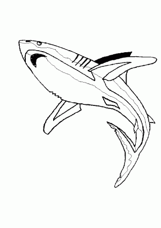 Amazing Coloring Pages: Sharks printable coloring pages