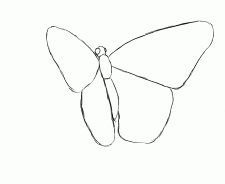 How to Draw a Butterfly | Draw Central