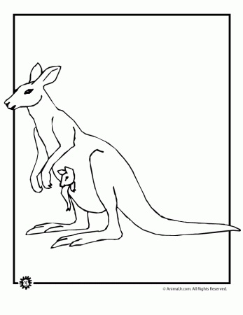 Kangaroos Coloring Pages Cake Ideas and Designs