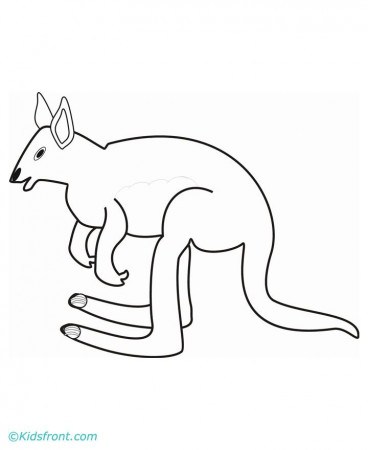 kangaroo.jpg