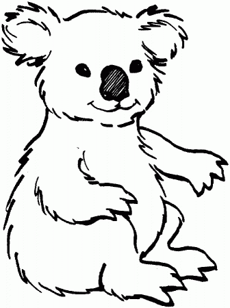 Cartoon Kola Bear Face