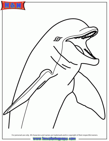 Free Printable Dolphin Coloring Pages | HM Coloring Pages