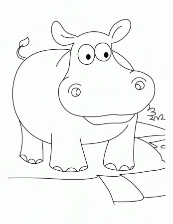Funny hippopotamus coloring pages | Download Free Funny 