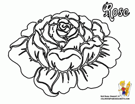 Kids Coloring Hard Coloring Pages To Print 660x330 Hard Coloring 