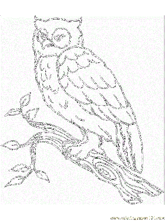 Coloring Pages Owl3 (Birds > Owl) - free printable coloring page 