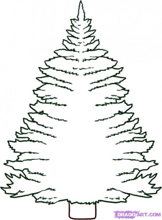 How to Draw a Pine Tree, Step by Step, Trees, Pop Culture, FREE 