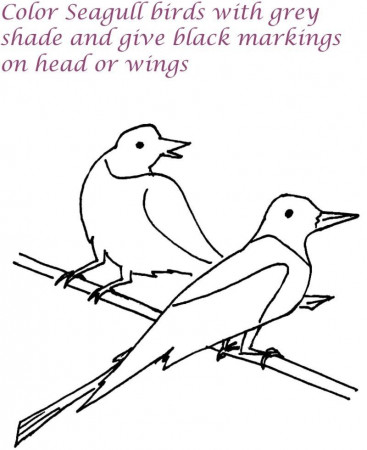 Seagull birds printable coloring page for kids: Seagull birds 