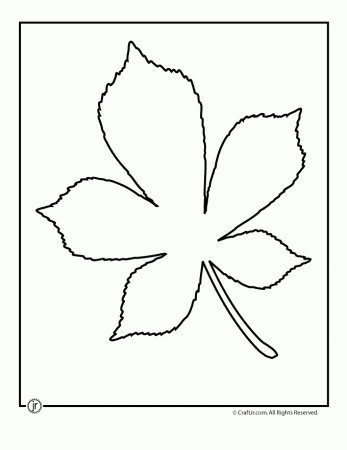 Leaf Template Printables | Craft Jr.