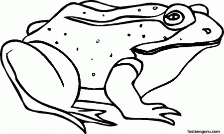 Homepage Animal Free Printable Sick Frog Coloring Pages For Kids 