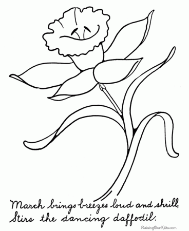 Free flower coloring pages of a daffodil 002