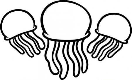 Download Three Jellyfish Coloring Pages Or Print Three Jellyfish 