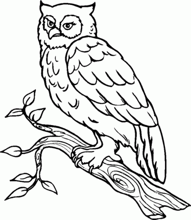 Printable Owl Coloring Pages | Animal Coloring Pages | Kids 