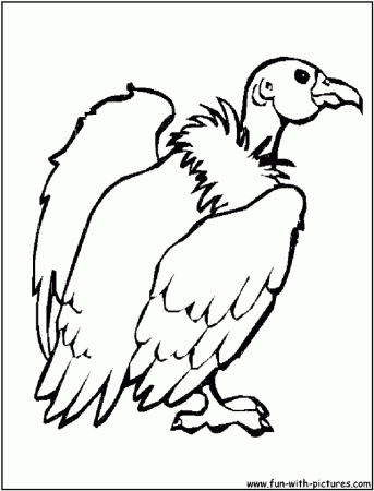 Buzzard Coloring Page Search Results Action Figure Sale 249562 