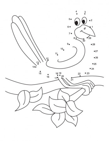 Connect the dots bird from 1 to 30 | Download Free Connect the dots bird  from 1 to 30 for kids | Best Coloring Pages