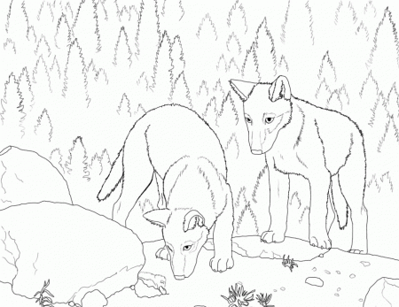 Download White Wolf Coloring Pages Or Print White Wolf Coloring 