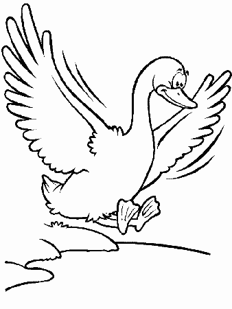 Birds Duck Animals Coloring Pages & Coloring Book