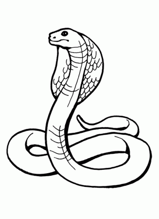 Snake-Coloring-Pages-For-Kids | COLORING WS