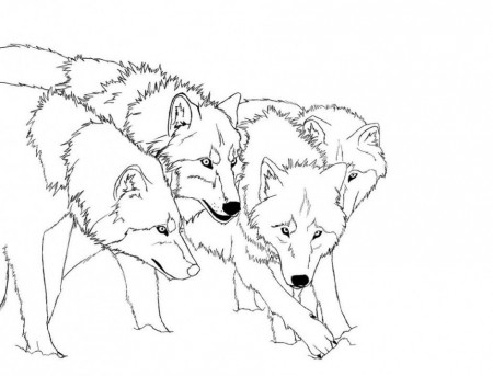 Viewing Gallery For Arctic Fox Coloring Page 120113 Arctic Wolf 