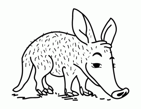 Printable Aardvark Coloring Page