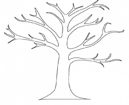 coloring pics of tree branches - Clip Art Library