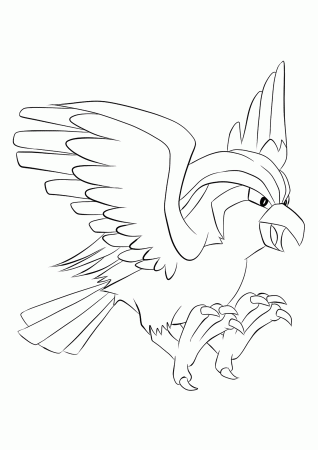 Pidgeot No.18 : Pokemon Generation I - All Pokemon coloring pages Kids Coloring  Pages