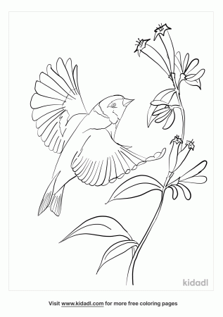 Goldfinch Coloring Pages | Free Animals Coloring Pages | Kidadl