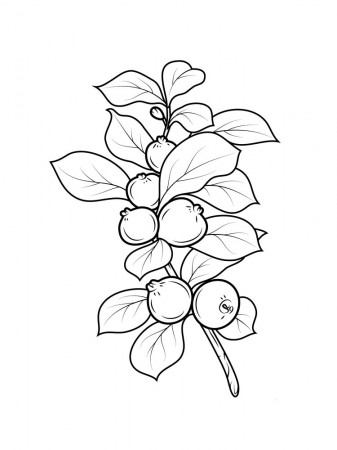 Guava coloring pages. Download and print Guava coloring pages.