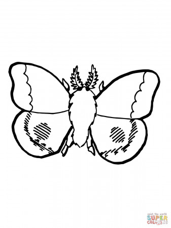 Moth coloring pages | Free Coloring Pages