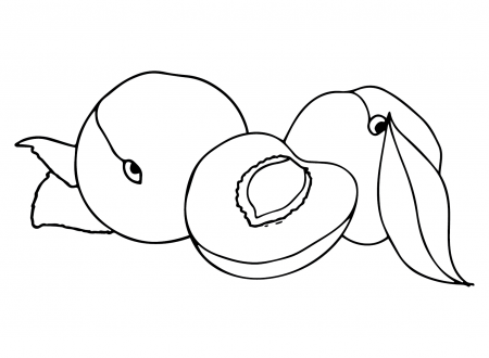 Nectarine Images Coloring Pages - Nectarine Coloring Pages - Coloring Pages  For Kids And Adults