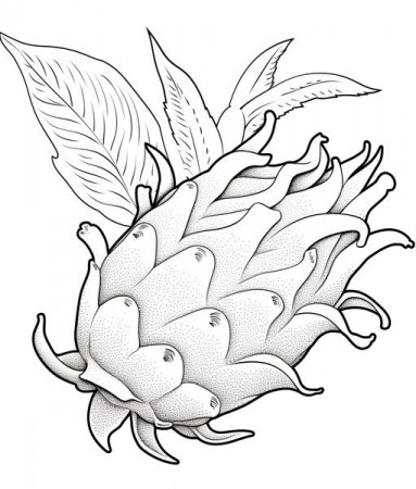 Free Printable Fruits Coloring Pages List