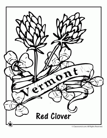 Vermont State Flower Coloring Page | Woo! Jr. Kids Activities