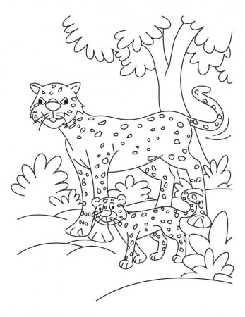 Cub with cheetah coloring pages | Download Free Cub with cheetah ...
