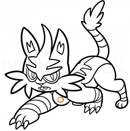 How to Draw Torracat, Coloring Page, Trace Drawing