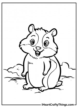 Printable Hamster Coloring Pages (Updated 2023)